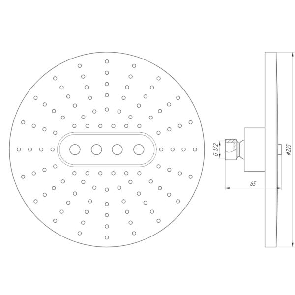 Душова лійка Globus Lux SD07A